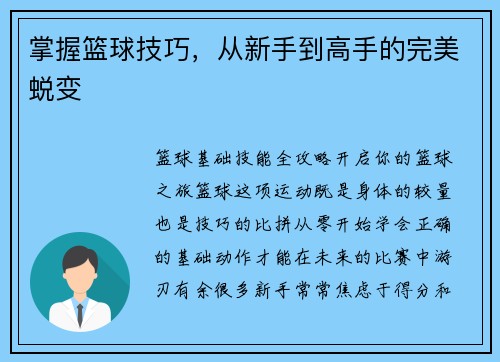 掌握篮球技巧,从新手到高手的完美蜕变